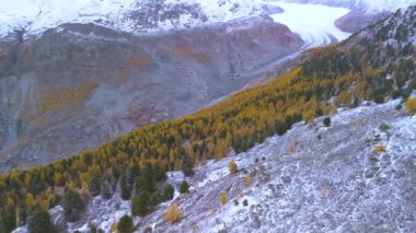 İsviçre Alplerindeki en büyük buzul aletschgletscher Buz Nehri.