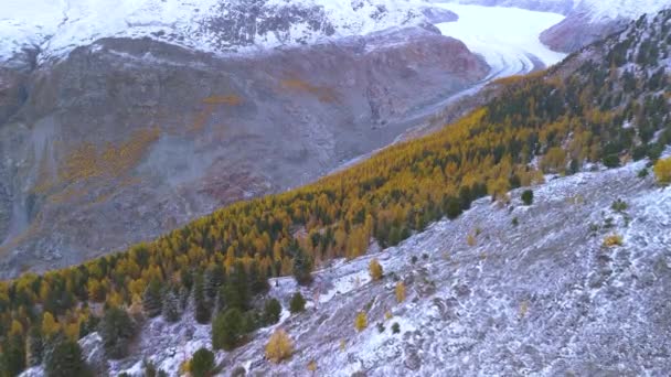 Grand Glacier Aletschgletscher Ice River Dans Les Alpes Suisses — Video