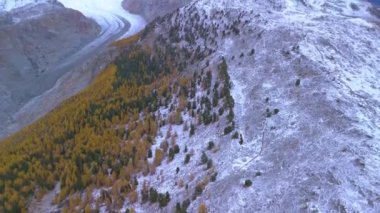 İsviçre Alplerindeki en büyük buzul aletschgletscher Buz Nehri.