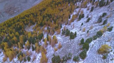 İsviçre Alplerindeki en büyük buzul aletschgletscher Buz Nehri.