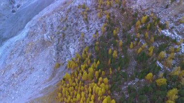 İsviçre Alplerindeki en büyük buzul aletschgletscher Buz Nehri.