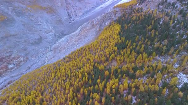 Найбільша Льодовикова Річка Швейцарських Альпах — стокове відео