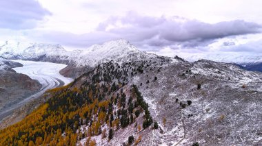 İsviçre Alplerindeki en büyük buzul aletschgletscher Buz Nehri.