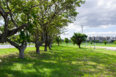 Mavi Gök ve Beyaz Bulut Hava Durumu Park Köpekleri ve Bisikletleri