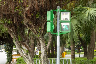Taipei, Tayvan 'da benzersiz yaya sinyal ışığı küçük yeşil adam trafik ışığı