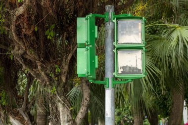 Taipei, Tayvan 'da benzersiz yaya sinyal ışığı küçük yeşil adam trafik ışığı