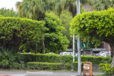 Taipei, Tayvan 'da benzersiz yaya sinyal ışığı küçük yeşil adam trafik ışığı