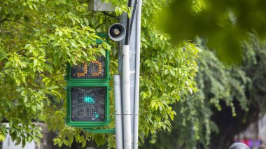 Taipei, Tayvan 'da benzersiz yaya sinyal ışığı küçük yeşil adam trafik ışığı