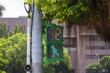 Taipei, Tayvan 'da benzersiz yaya sinyal ışığı küçük yeşil adam trafik ışığı