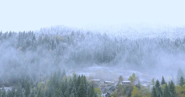 Inverno Turismo Suíço Encontra Primeira Neve Coberta Pela Floresta 2023 — Vídeo de Stock