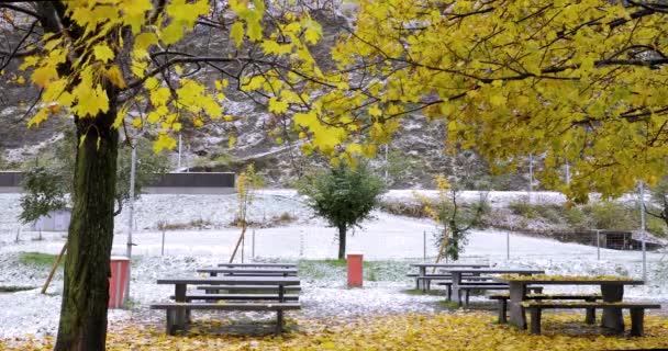 Salju Dingin Taman Kota Umum Swiss Berada Bawah — Stok Video
