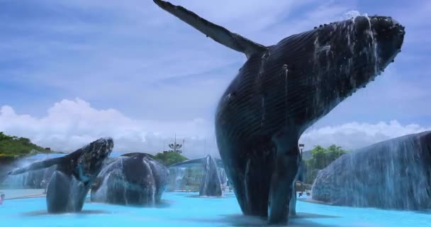 Létě Lidé Hrají Vodu Mořském Akvarijním Bazénu 2017 Kaohsiung Tchaj — Stock video