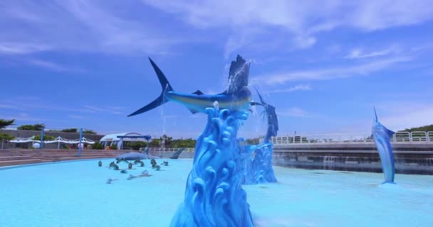 夏には 人々は海洋水族館のプールで水遊びします 2017 Kaohsiung ケンティング — ストック動画