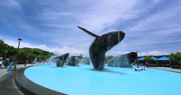 夏には 人々は海洋水族館のプールで水遊びします 2017 Kaohsiung ケンティング — ストック動画