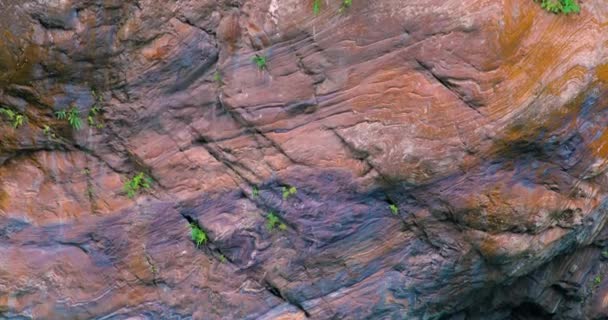 色鮮やかな岩壁とトルコの流れを持つ太魯閣館風景区 Shakayuクリーク — ストック動画