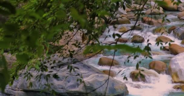 タロコ景観エリアのシャカシクリークトレイルの岩壁 フエリア — ストック動画