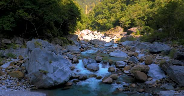 台湾花莲太子风景区Shakaxi溪小径石墙 — 图库视频影像