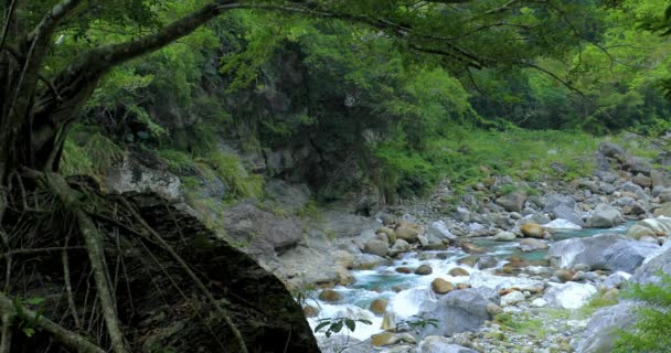 Tajvan Hualien Taroko Scenic Area Nagy Shaka Sakai Patak Szikla — Stock videók