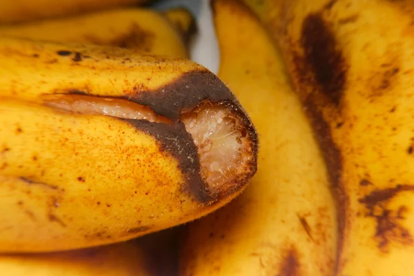 Zblízka Shnilé Banánové Ovoce — Stock fotografie