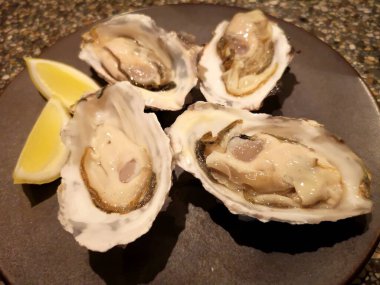 oysters with lemon and garlic on a black plate