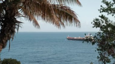 Santa Cruz, Tenerife 'deki Palmetum' dan okyanus manzarası, 3 Mart 2024 'te büyük bir gemiyle birlikte..