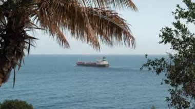 Bir gemi İspanya 'nın Tenerife kıyısından geçiyor, ön planda bir palmiye ağacı var..
