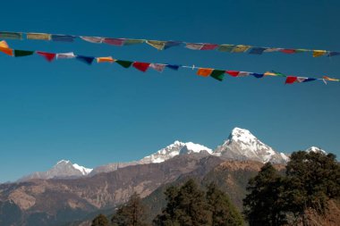 GHOREPANI, NEPAL - 10 HAZİRAN 2025: Nepal 'de yürüyüş için popüler sakin bir yer olan Ghorepani' de çarpıcı dağ manzaraları ve renkli dua bayrakları.