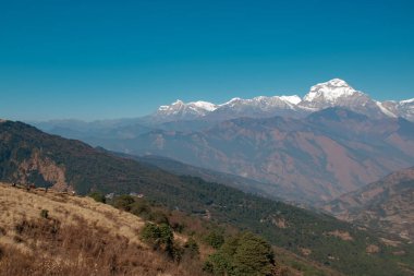 GHOREPANI, NEPAL - 10 HAZİRAN 2025: Annapurna aralığının nefes kesici manzarası ve Nepal 'in çarpıcı güneşli gün ışığında renkli dua bayrakları.