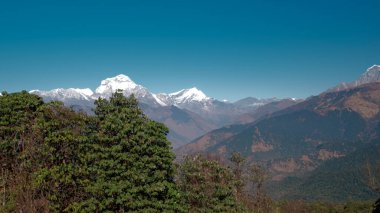 GHOREPANI, NEPAL - 10 HAZİRAN 2025: Ghorepani, Nepal 'in nefes kesici manzaraları, görkemli dağlar ve açık mavi gökyüzü altında yemyeşil alanlar, pan.