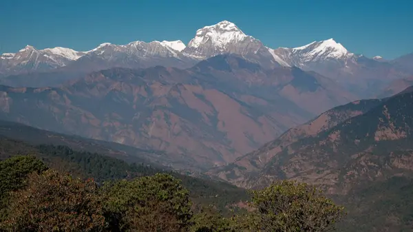 GHOREPANI, NEPAL - 10 HAZİRAN 2025 Nepals Ghorepani bölgesinde unutulmaz bir yolculuk sırasında göz kamaştırıcı manzaralar ve görkemli dağlar,.