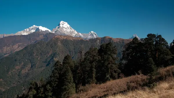 GHOREPANI, NEPAL - 10 HAZİRAN 2025: Ghorepani 'den nefes kesici manzaralar, Annapurna' nın görkemli zirveleri ve bereketli manzaraları açık bir gün yürüyüşü, pan.