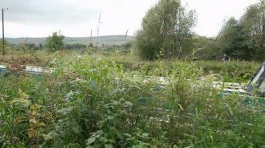 AUCHINSTARRY, Kuzey LANARKSHIRE, SCOTLAND, İngiltere - 18 AĞUSTOS 2024: Auchinstarry Marina 'da yaz yürüyüşü, bereketli bir yaz gününde yemyeşil ile çevrili geleneksel turkuaz tekne.