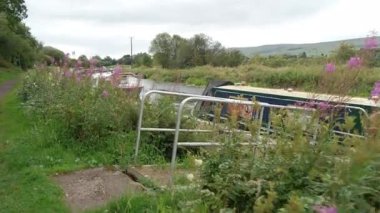 AUCHINSTARRY, NORTH LANARKSHIRE, SCOTLAND, İngiltere - 18 AĞUSTOS 2024: Dar kayıklar ve yemyeşil yemlikler içeren Auchinstarry Marina boyunca yürüyün.