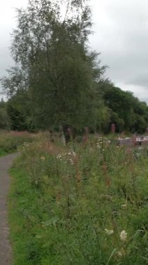 AUCHINSTARRY, Kuzey LANARKSHIRE, SCOTLAND, İngiltere - 18 AĞUSTOS 2024: Dar botlar ve yemyeşil alanlarla çevrili Auchinstarry Marina 'daki Forth ve Clyde Kanalı boyunca sakin bir yürüyüş.