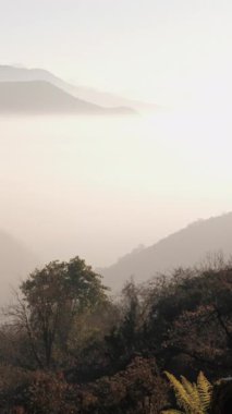 Tadapani, Nepal 'deki tepeleri saran sabah sisi huzurlu ve sakin bir atmosfer yaratıyor..