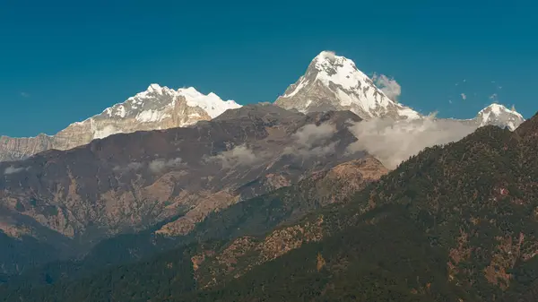 GHOREPANI, NEPAL - 9 HAZİRAN 2025: Ghorepani, Nepal 'deki görkemli dağlara bakan doğa bu huzurlu yerde güzelliğini gözler önüne seriyor.