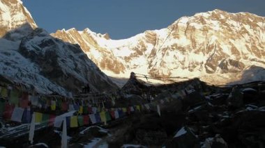 ANNAPURNA Üs Kampı, NEPAL - 14 HAZİRAN 2025: Altın sabah ışığı Annapurna I ve Annapurna Fang 'i aydınlatıyor, Ana Kamp' ın gevrek havasında dalgalanan dualarla, pan.