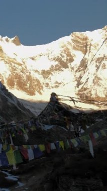 ANNAPURNA Üs Kampı, NEPAL - 14 HAZİRAN 2025: Altın sabah ışığı Annapurna I ve Annapurna Fang 'i aydınlatıyor, Ana Kamp' ın gevrek havasında dalgalanan dualarla, pan.