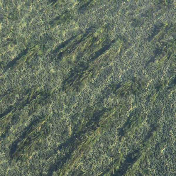 취리히 호수의 — 스톡 사진