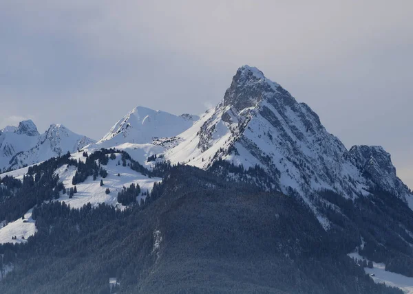 Mount Rubli Videmanette Ski Area — стокове фото
