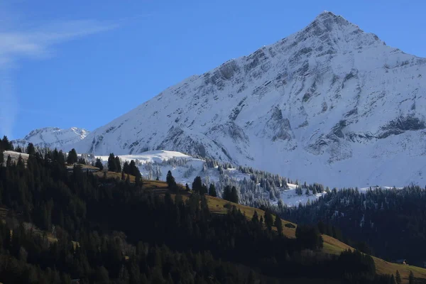 Snö Täckt Mount Spitzhorn Och Grön Kulle — Stockfoto