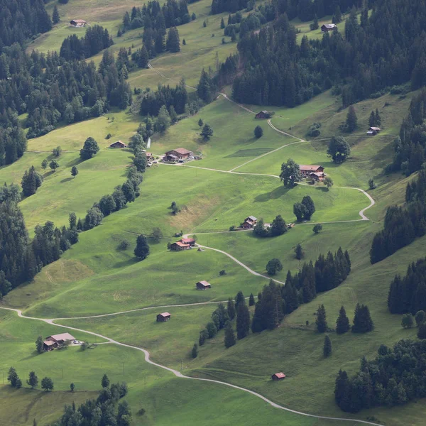 Green meadow, forest and houses in Gsteig bei Gstaad.