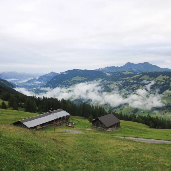 View Vordere Walig Saanenland Valley Rainy Summer Day — Stock Photo, Image