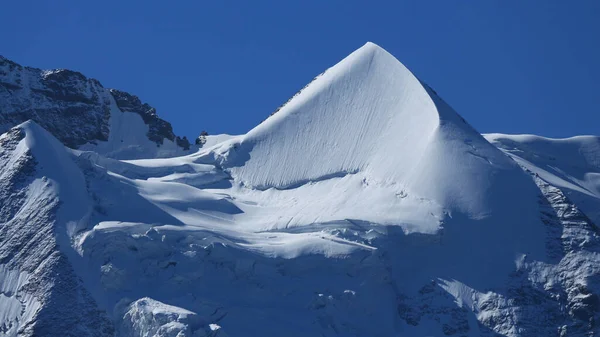 Snow Covered Pointed Peak Mount Silberhorn Switzerland — Stock Photo, Image