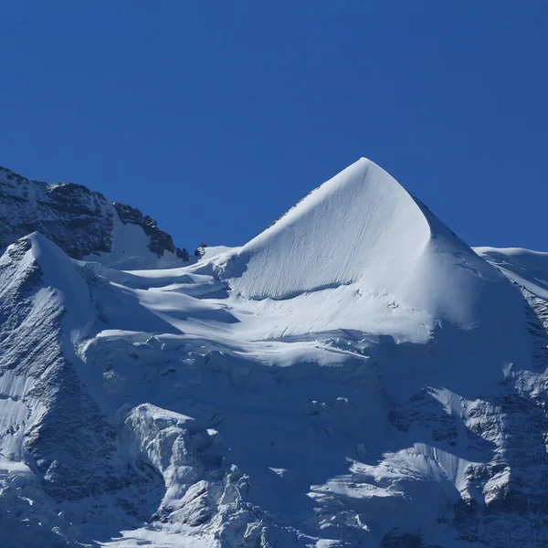 Сніговий Покрив Вершину Гори Сілберхорн Швейцарія — стокове фото