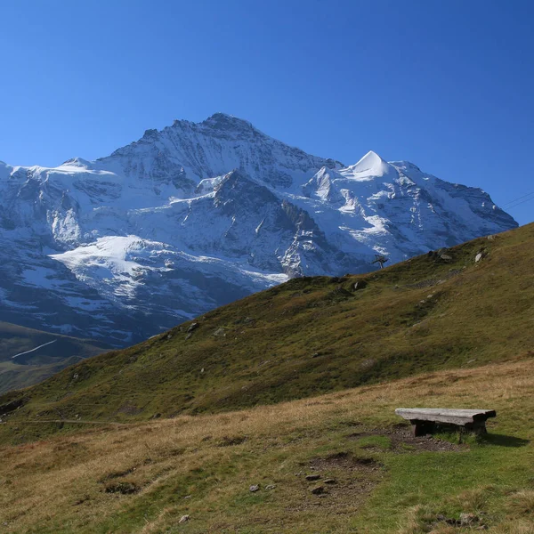 Юнґфрауйох Знамените Місце Подорожей Швейцарських Альпах — стокове фото