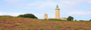 Deniz feneri ve çiçeklere Cap Frehel, Brittany. Fransızca sahilinde seyahat hedef.