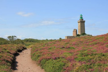 Kaptan Frehel 'in fenerine doğru giden çiçekleri takip edin..