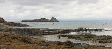 Cancale, Fransa 'daki istiridye çiftlikleri.