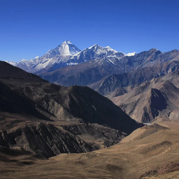 Majestátní Hora Dhaulagiri Tukche Nepál — Stock fotografie